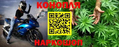 гидропоника Кунгур