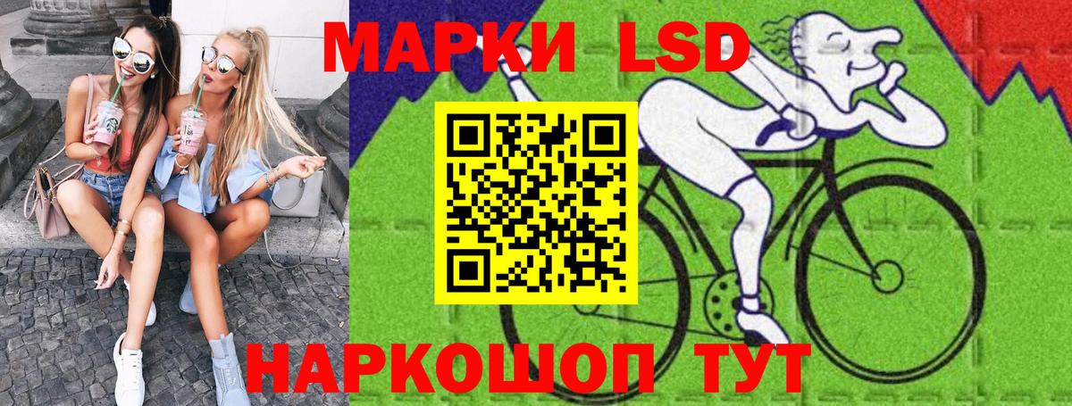 Курганинск  Наркотические марки  Наркотические марки 1500мкг  Вход с VPN  Наркотические марки 1500мкг 